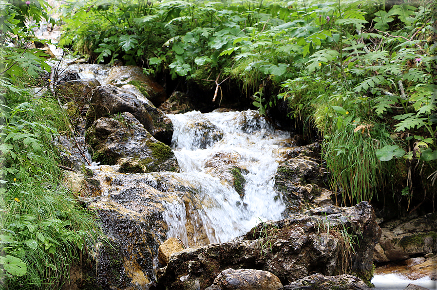 foto Cascate alte in Vallesinella